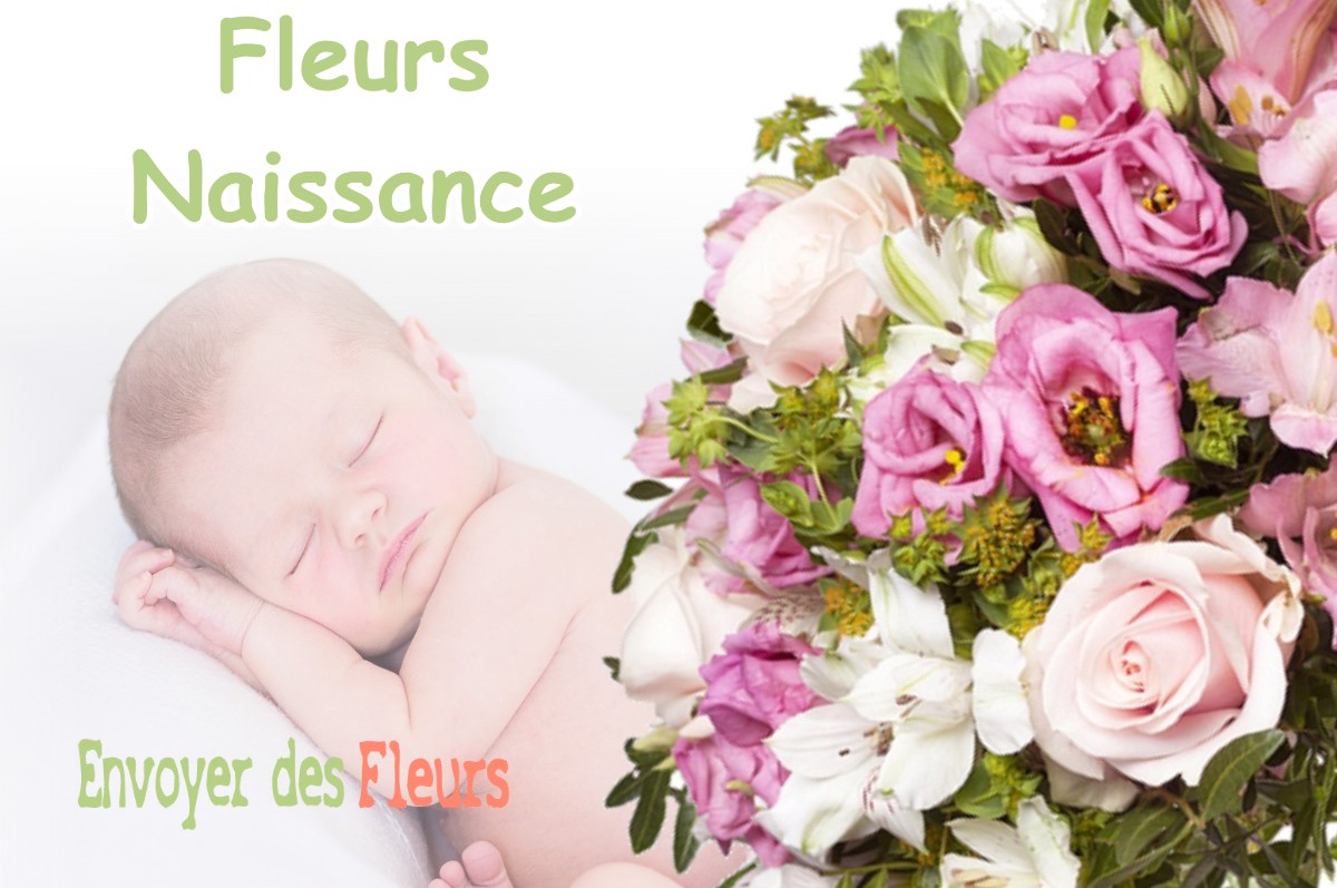 lIVRAISON FLEURS NAISSANCE à SAINT-ANDRE-DE-LA-ROCHE